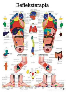 Tablica anatomiczna "Fizjoterapia VII" (Plansza anatomiczna)